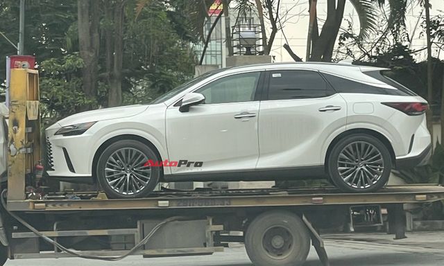 Lexus RX 350h 2025 đã về Việt Nam: Tinh ý mới thấy điểm khác bản xăng, dễ thêm công nghệ, máy tiết kiệm xăng cạnh tranh X5, Q7