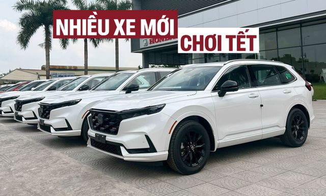 Nhiều xe mới dễ đổ bộ Việt Nam trước Tết: Đa dạng sedan, MPV, SUV, bán tải, có cả lắp và nhập, chủ yếu trên dưới 1 tỷ đồng