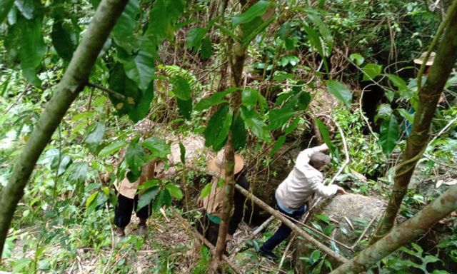 Quảng Bình: Tìm kiếm người đàn ông mất tích trong rừng