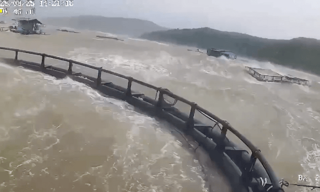 Quảng Trị: Sóng đánh hỏng nhiều bè cá, nhiều diện tích lúa ngã đổ