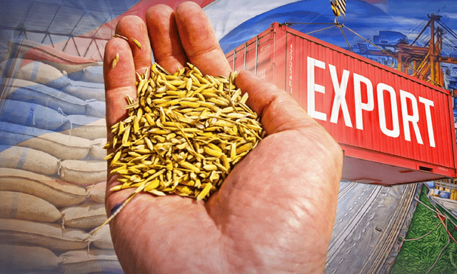 Xuất khẩu gạo Thái Lan lo 'chạm đáy' 5 năm: Vì một chỉ số cao nhất thế giới, gấp rưỡi Việt Nam, Campuchia