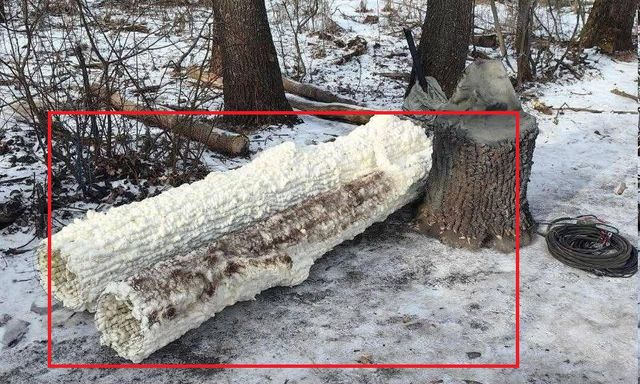 Nga bất ngờ dựng loạt cây giả giữa tiền tuyến để lừa Ukraine: Bên trong thân cây là bí mật gì?