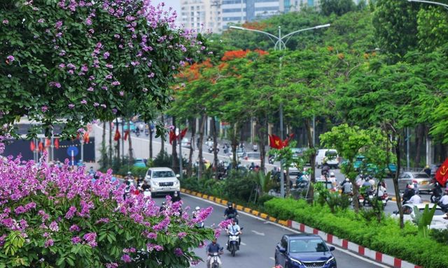 Từ bỏ ‘đua tranh khốc liệt’ ở quê nhà, nhiều người Mỹ chọn Việt Nam: ‘Chất lượng cuộc sống rất cao’