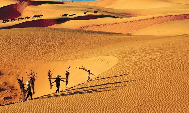 Mũi Né vào Top 10 điểm đến xu hướng toàn cầu 2026: Tăng trưởng 20%, hút mạnh khách quốc tế