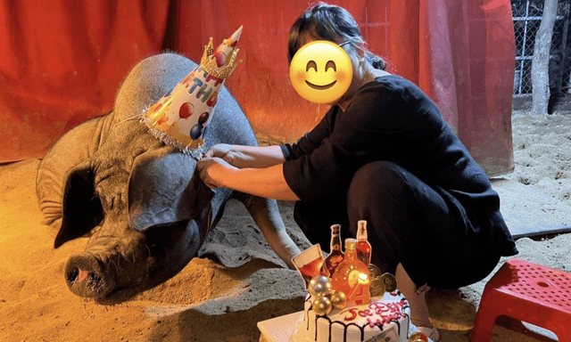 Sao Việt nuôi lợn ở biệt thự 1400 m² giữa phố cổ, nói 1 câu về chuyện để lại tài sản cho con quá bất ngờ