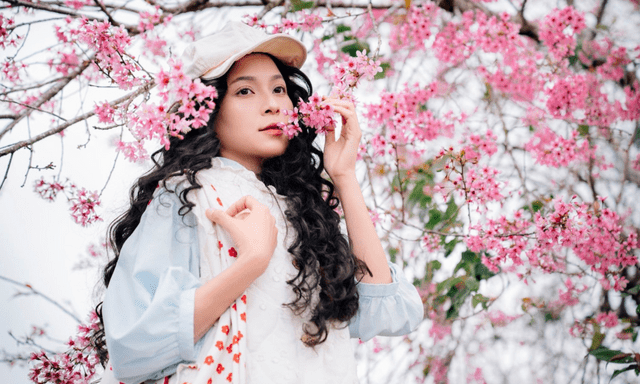 Sắc hồng phủ kín cao nguyên, vạn vật đều thua mùa hoa này ở Đà Lạt