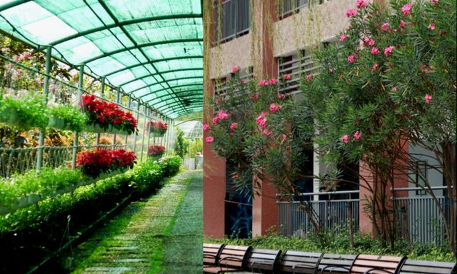 Trường công lập gì mà như resort thế này? Góc nào cũng đầy chất thơ khiến hơn 5 nghìn người phải vào xuýt xoa hết cỡ