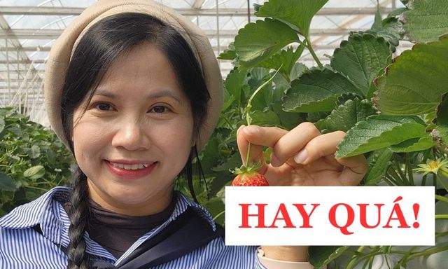 Bà mẹ Hà Nội chỉ cách nuôi dạy con thành CÔNG DÂN TOÀN CẦU: Từ mầm non đến đại học, cực kì chi tiết