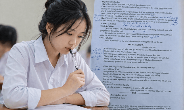 Một chi tiết trong bài thi Văn đạt 9,75 điểm, cao nhất kỳ thi tốt nghiệp đang gây tranh cãi: Đáng khen hay 