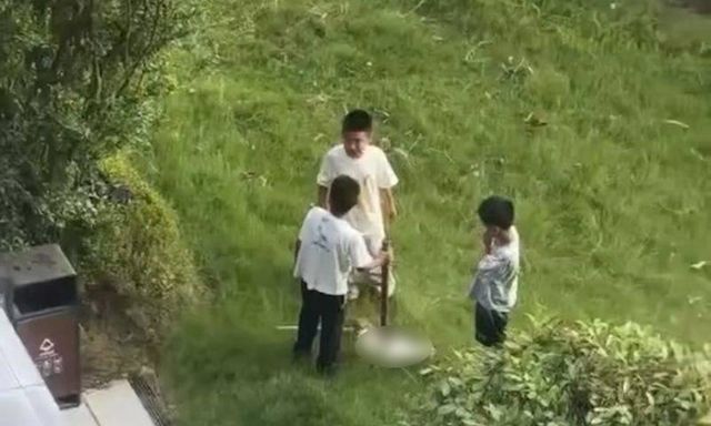 Hình ảnh 3 đứa trẻ này báo trước tương lai tăm tối: Cha mẹ thờ ơ việc 