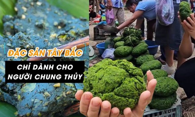 Món ăn được mệnh danh “chỉ dành cho người chung thủy”, cả năm mới có một mùa ở Tây Bắc khiến dân tình háo hức muốn thử