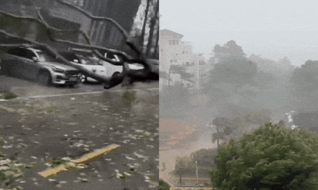 Cảnh tượng kinh hoàng khi bão số 5 (bão Kajiki) đổ bộ Trung Quốc: Cây đổ hàng loạt, giao thông tê liệt