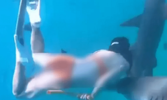 Kinh hoàng cảnh cô gái bị cá mập cắn nhưng vẫn từ chối lên bờ vì muốn chụp thêm ảnh