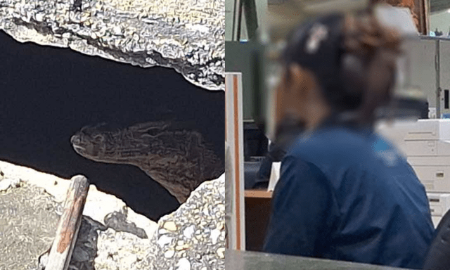 Rúng động Thái Lan: Phát hiện thi thể bé gái sơ sinh bị kỳ đà cắn, lời khai của mẹ 19 tuổi khiến ai nghe cũng lạnh gáy