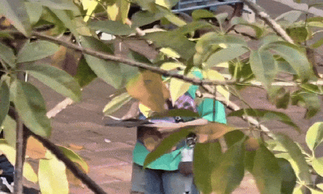 Đây chính là mỹ nhân mặc xấu nhất hiện tại, khán giả kêu gọi bỏ phim vì loạt váy áo thảm họa