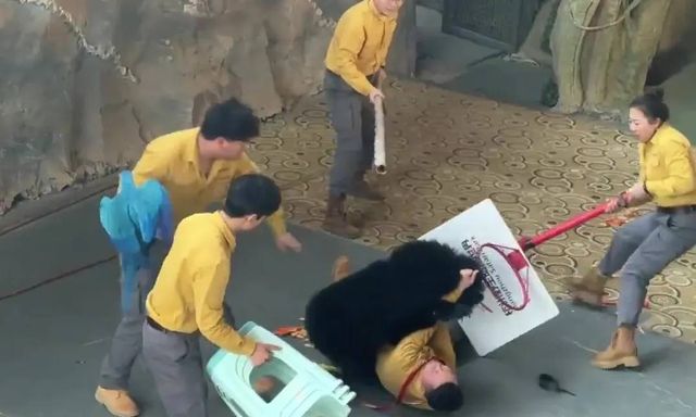 Kinh hoàng khoảnh khắc gấu đen tấn công huấn luyện viên trong sở thú