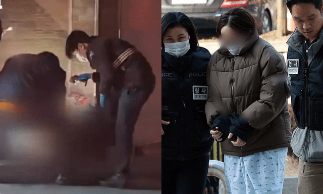 Vụ bé sơ sinh bị bỏ trong túi giấy tử vong ở Hàn Quốc: Nữ du học sinh người Việt xuất hiện tại tòa án, đối mặt nguy cơ bị bắt giam