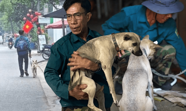 Phía sau bức ảnh người đàn ông lang thang cùng chú chó ở TP.HCM, xin việc hơn 30 công trình đều bị từ chối