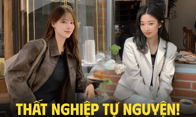 Tự nghỉ việc rồi thất nghiệp, sau đó thì sao?