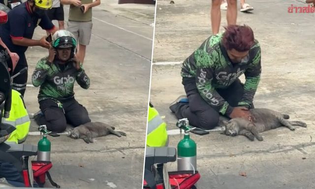 Nam shipper quỳ gập gối bên đường cố cứu mèo trong vụ cháy chung cư: Clip lan truyền chóng mặt, danh tính được truy tìm