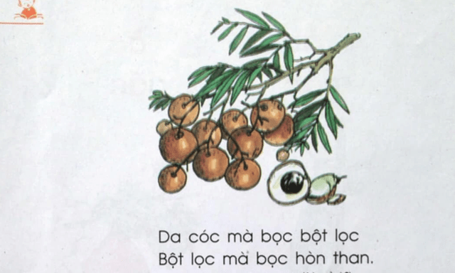 Câu đố tiếng Việt 