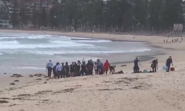 Kinh hoàng cảnh người đàn ông bị cá mập tấn công và cuốn trôi tại bãi biển du lịch