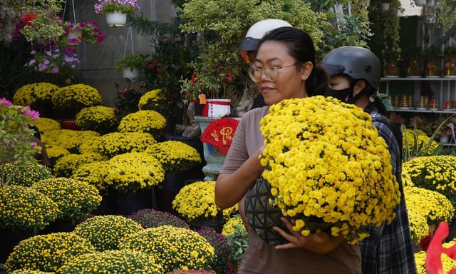 Ấm lòng ngày giáp Tết: Người dân TP.HCM chung tay giải cứu từng chậu cúc mâm xôi, giúp bà con nông dân miền Tây vơi bớt nỗi lo mất mùa