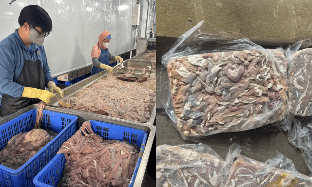 Cận cảnh hơn 60 tấn lòng lợn bốc mùi nằm trong kho lạnh nhiều tháng ở Hà Nội, chuẩn bị tuồn ra thị trường dịp cận Tết