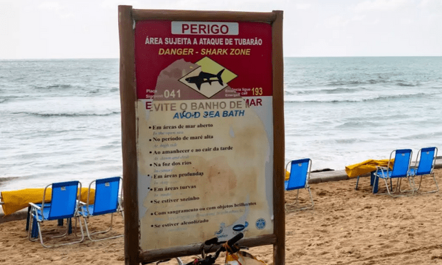  Cậu bé 13 tuổi bị cá mập tấn công tử vong tại một địa điểm du lịch nổi tiếng