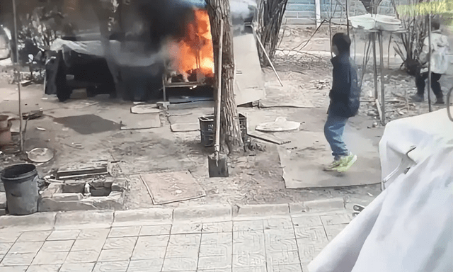 Xôn xao vụ hai bé trai nghịch lửa thiêu chết chó Samoyed, chủ nuôi không chấp nhận hoà giải riêng