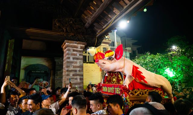 Cả làng La Phù thức trắng vì 17 “ông lợn”: Lợn ăn trứng, ngủ màn, mùa đông sưởi than để chờ giờ rước đình