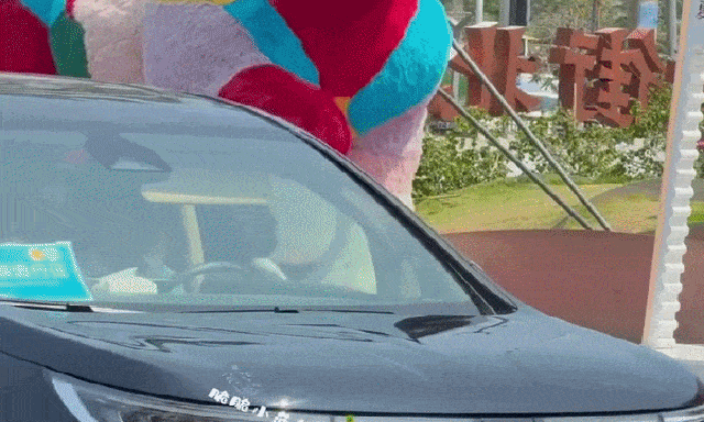 Đại tiểu thư du học về nước đang náo loạn hot search: Nhan sắc tô hồng vạn vật, tưởng đâu chỉ có trong tiểu thuyết