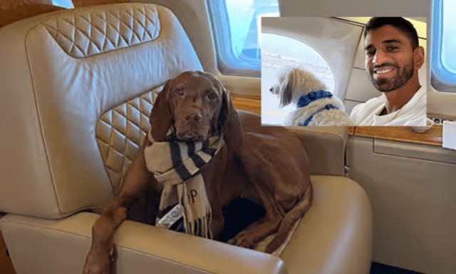 Đại gia thuê đứt chuyên cơ để chở thú cưng khỏi Dubai: “Đây là lựa chọn duy nhất đáng tin cậy nên tôi không quá bận tâm về chi phí”
