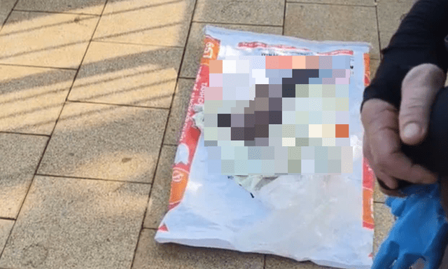 Xót xa phát hiện thi thể bé trai sơ sinh còn nguyên dây rốn bị bỏ rơi gần nghĩa trang