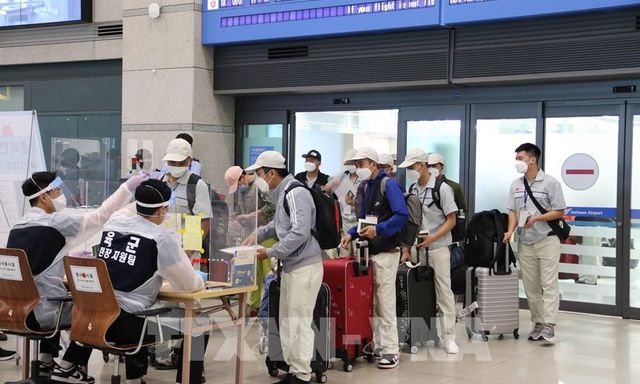 Lời khuyên cho những người sắp đi xuất khẩu lao động Hàn Quốc