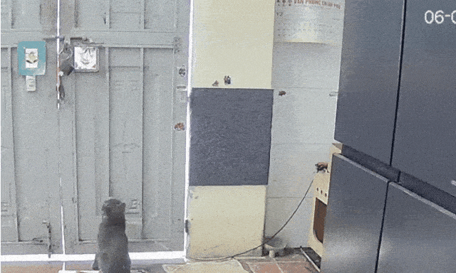 Shipper đến phòng trọ giao hàng, chuyện gì xảy ra khiến chủ trích xuất camera đăng lên mạng?