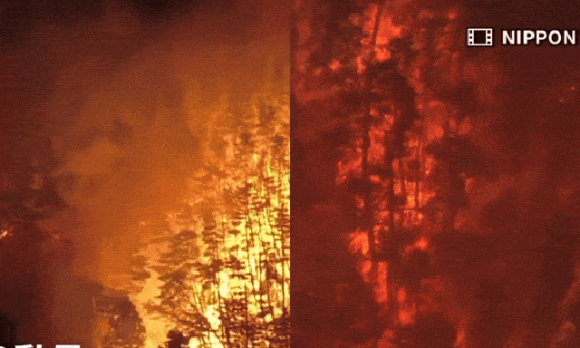 Biển lửa bủa vây thị trấn Nhật Bản: 200ha rừng bị thiêu rụi, lửa áp sát khu dân cư, gần 1.800 người phải sơ tán khẩn cấp
