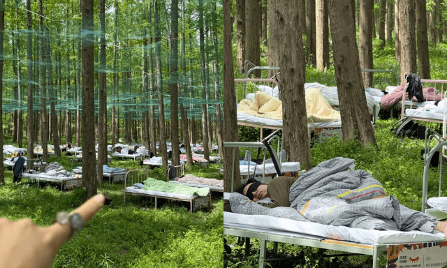 Cuộc thi ngủ trong rừng đang hot ở Trung Quốc: Kín 400 suất đăng ký, tiền thưởng cho “thần ngủ