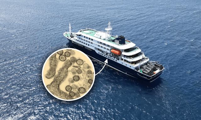 Du thuyền chở 147 người mắc kẹt trên biển vì bùng phát virus hiếm gặp, 3 người đã tử vong: WHO điều tra khẩn