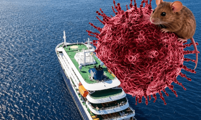 Toàn cảnh hành trình trên du thuyền mang virus Hanta khiến cả thế giới lo ngại: Hơn 1 tháng “nín thở” và tình hình hiện tại