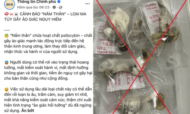 Cảnh báo về ma tuý 