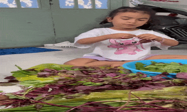 Con gái 5 tuổi của Võ Hạ Trâm và đại gia: Giao diện Ấn Độ, 
