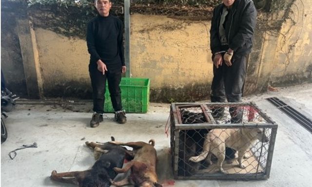 Bắt giữ chủ quán Tạ Đình Tuấn SN 1978
