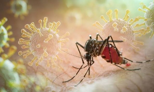Sốt xuất huyết Dengue phá vỡ quy luật cũ: Ghi nhận hơn 50.000 ca mắc trong 5 tháng đầu năm 2026, xuất hiện nhiều ca nặng