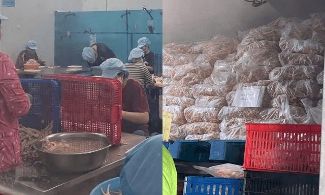 Đột kích công ty sản xuất chân gà rút xương, kinh hoàng phát hiện hơn 7 tấn hàng đông lạnh quá hạn sử dụng