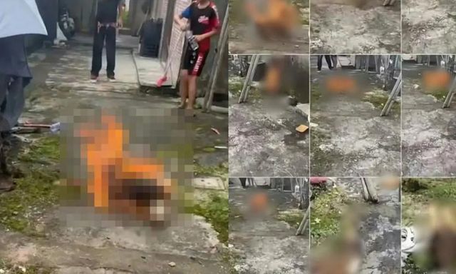 4 đứa trẻ dưới 14 tuổi gây phẫn nộ vì hành vi ngược đãi động vật, chuyên gia lên tiếng cảnh báo