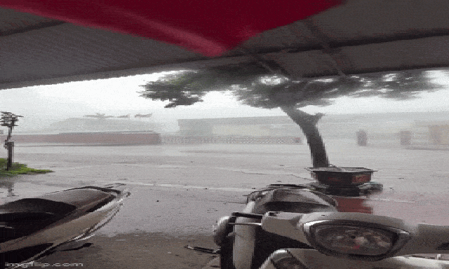 Mưa lớn dồn dập bao trùm cả nước, miền Bắc nguy cơ sạt lở đất rất cao
