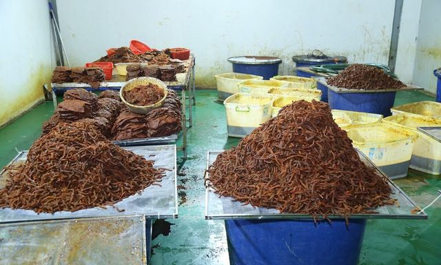 Đột kích 