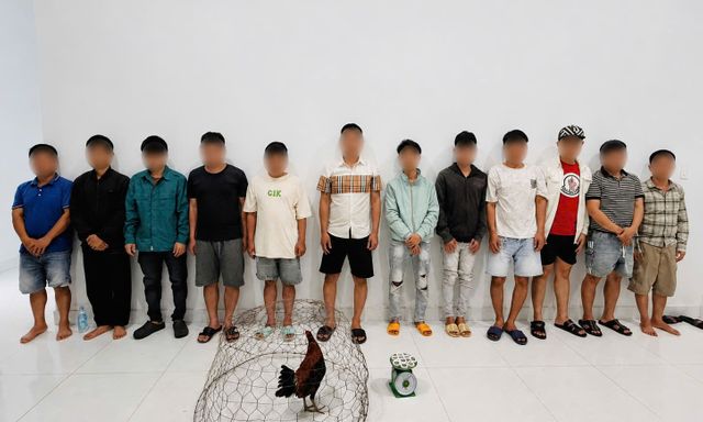 Ập vào kiểm tra 1 tụ điểm, công an tạm giữ hình sự 4 đối tượng, thu giữ 1 con gà và 7 cuộn băng keo