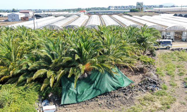 Cảnh sát thông báo thông tin điều tra mới vụ thi thể mất tích tại Jeju (Hàn Quốc) 104 ngày mới được tìm thấy